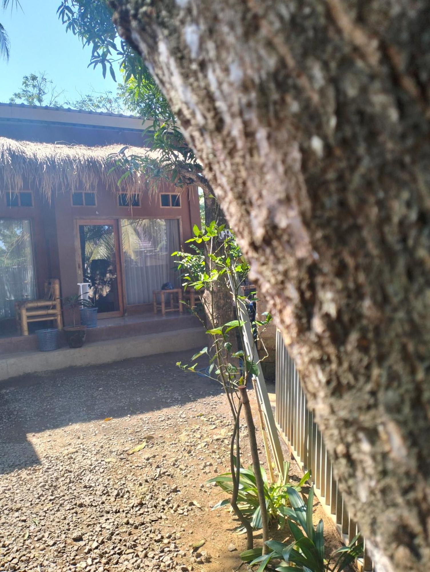 Fullmoon Homestay
