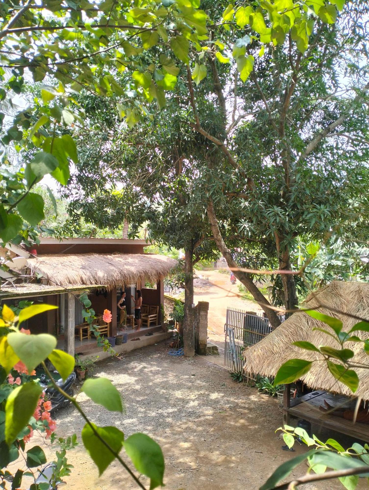 Fullmoon Homestay *